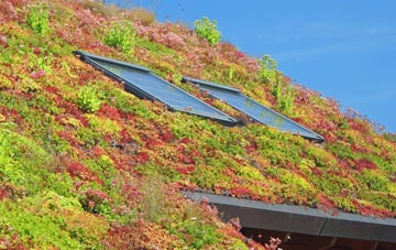 St Martins living roof systems
